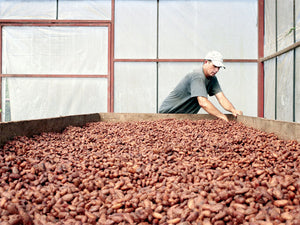 BLUE TOKAI COFFEE ROASTERS RAISES FIRST SEED FUNDING