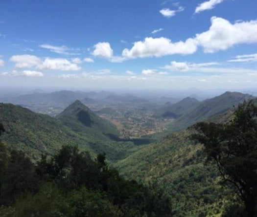 10_1_00bd9bc4-4c86-49f7-ac17-5fe23e0e6245