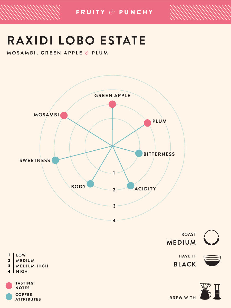Christian Dela Rosa　青嵐、若竹　500g 100g Raxidi Lobo Estate - Anaerobic Natural
