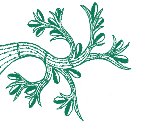 gid://shopify/MediaImage/23160420991031