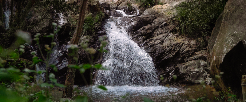 gid://shopify/MediaImage/23082028105783