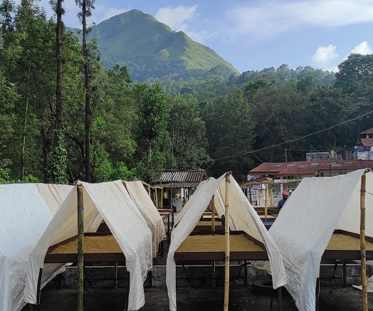 IMG_20211126_155808_2