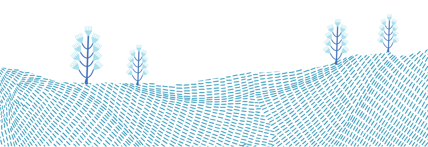 Layer_1_6