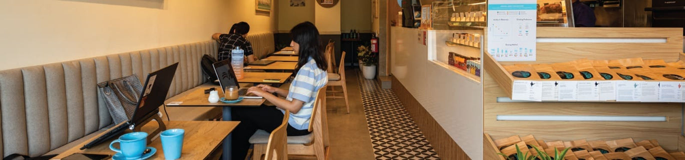 gid://shopify/MediaImage/23799154966583