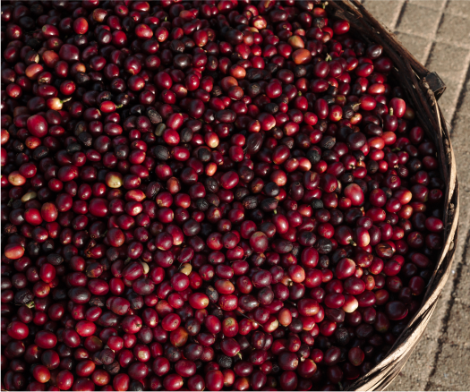 Rectangle_60_1_7eec9318-eb1a-4e93-a572-eb62e0d21596