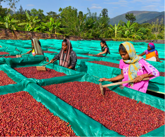 Rectangle_60_79376239-e60b-40ab-a8d8-d2ee7fef1c9e