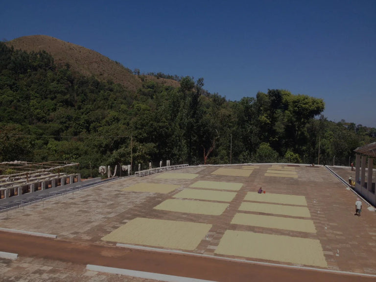 gid://shopify/MediaImage/23264002310199