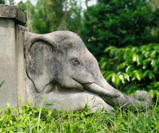 image_1_2f657c7a-1320-4d0e-9582-523838f5d61b