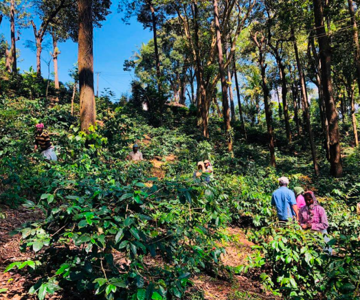 image_2_28e7c694-1628-4cfc-98de-cef45c646d6a