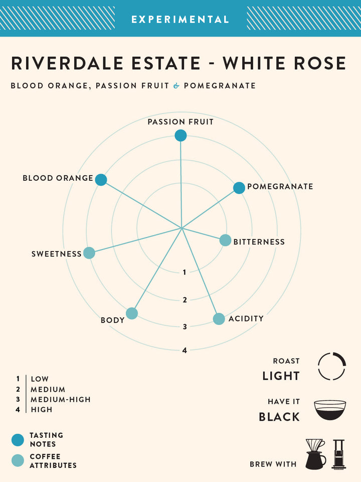 Riverdale Estate - White Rose- Buy Freshly Roasted Coffee Beans Online - Blue Tokai Coffee Roasters