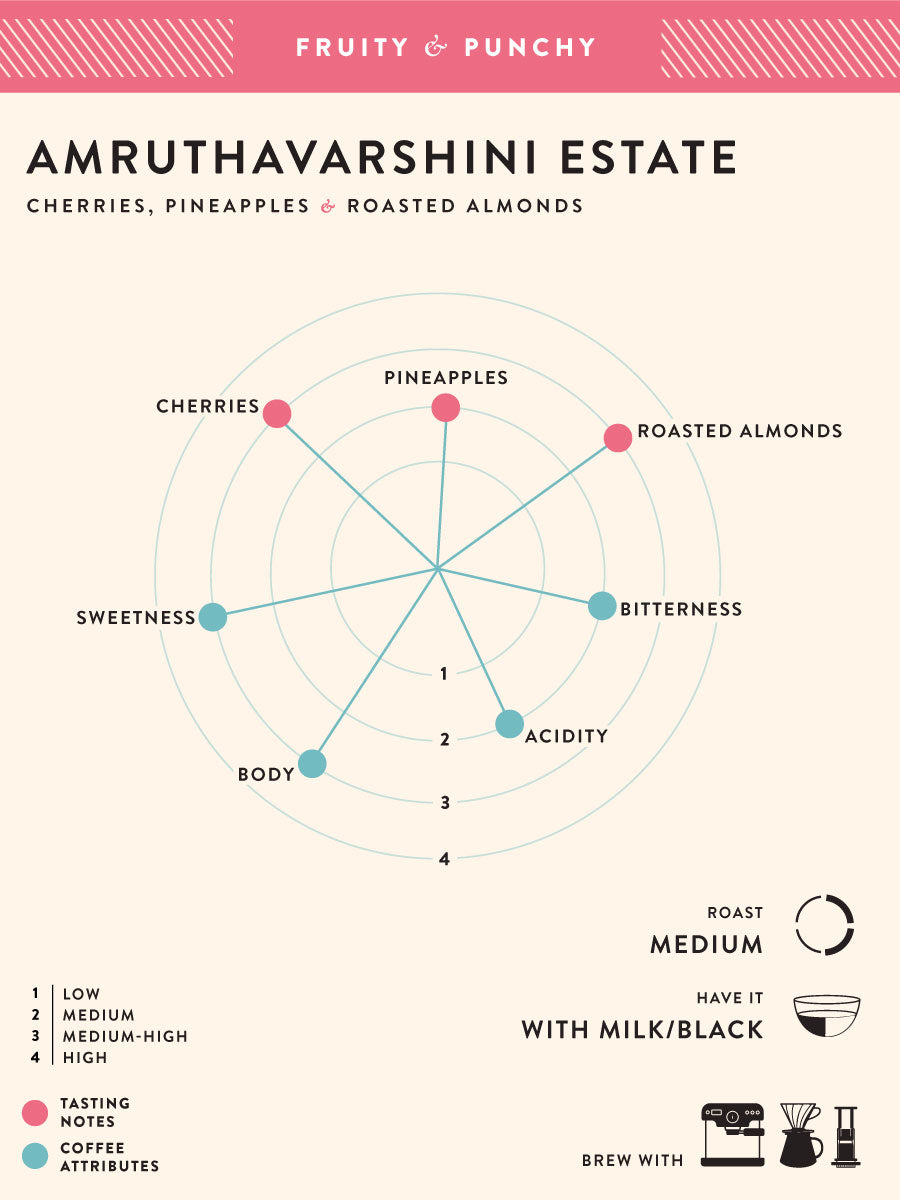 Amruthavarshini Estate