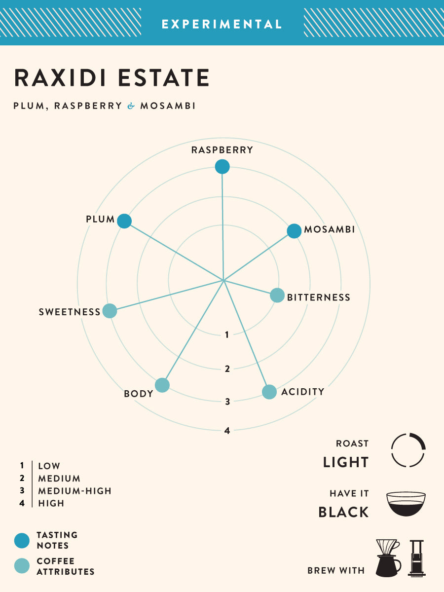 Raxidi Estate - Natural- Buy Freshly Roasted Coffee Beans Online - Blue Tokai Coffee Roasters