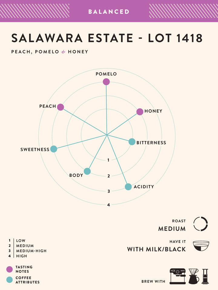 Salawara Estate - Lot 1418- Buy Freshly Roasted Coffee Beans Online - Blue Tokai Coffee Roasters