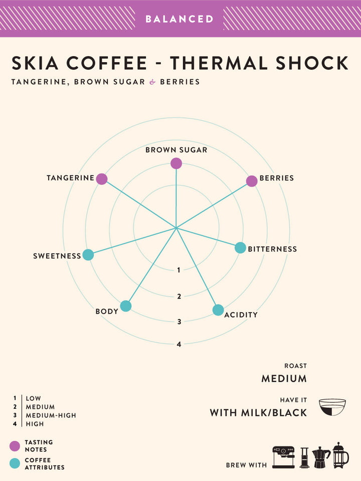 SKIA Coffee (Pack of 2)