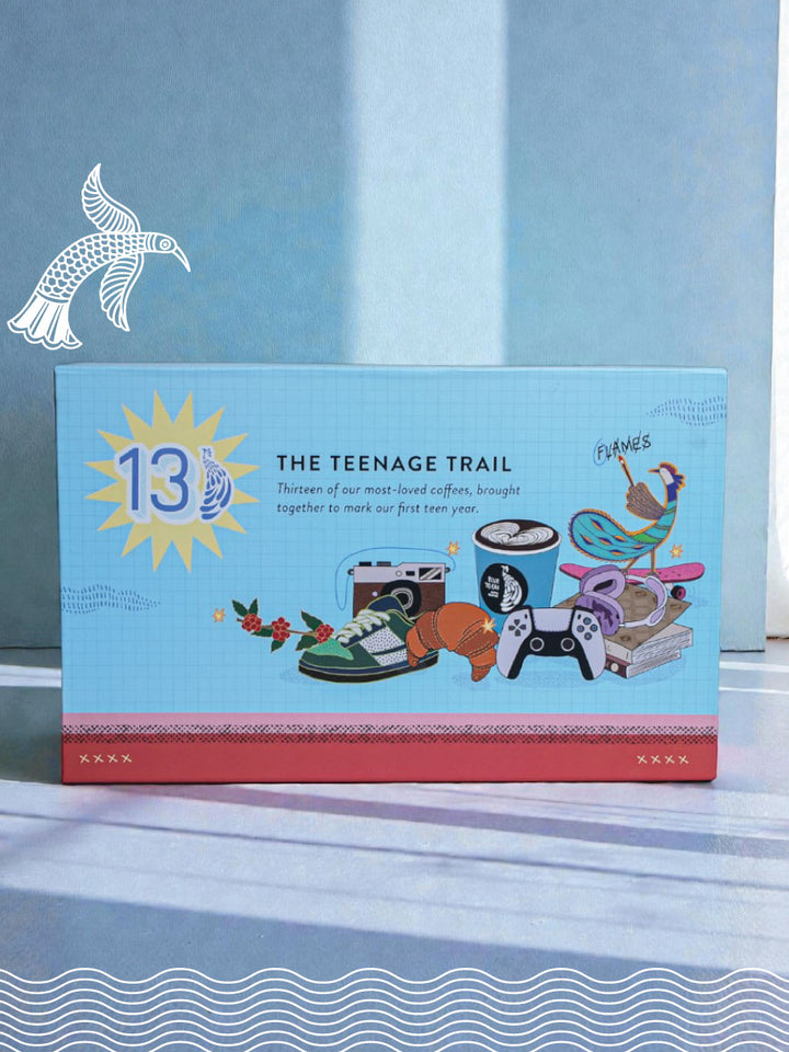 The Teenage Trail - Box of 13 Coffees