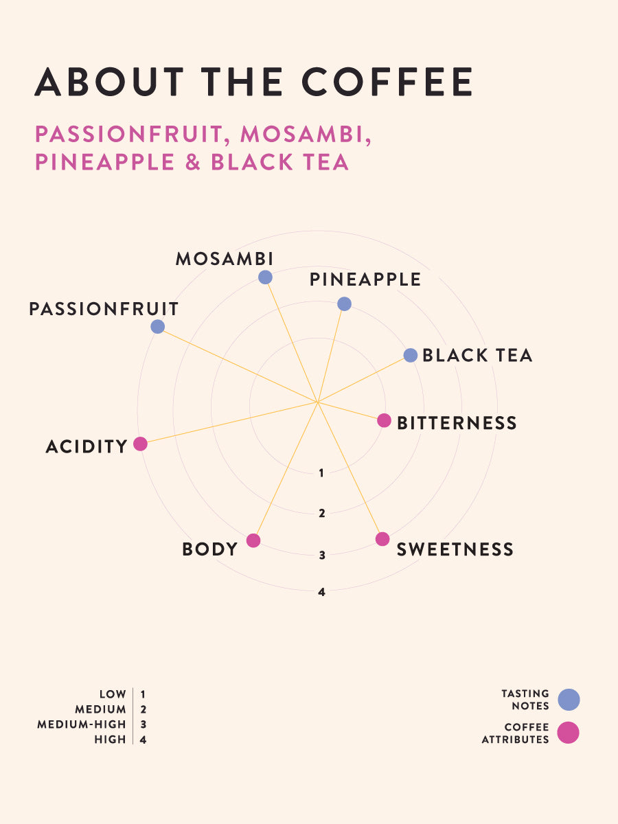 Ratnagiri Estate - Dark Room Natural