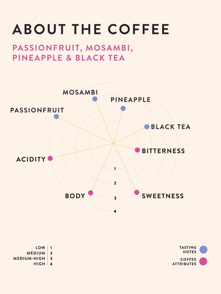 Ratnagiri Estate - Dark Room Natural