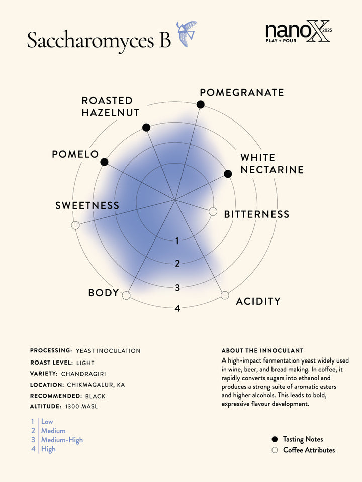 Kalledevarapura Estate - The Fermentation Edit