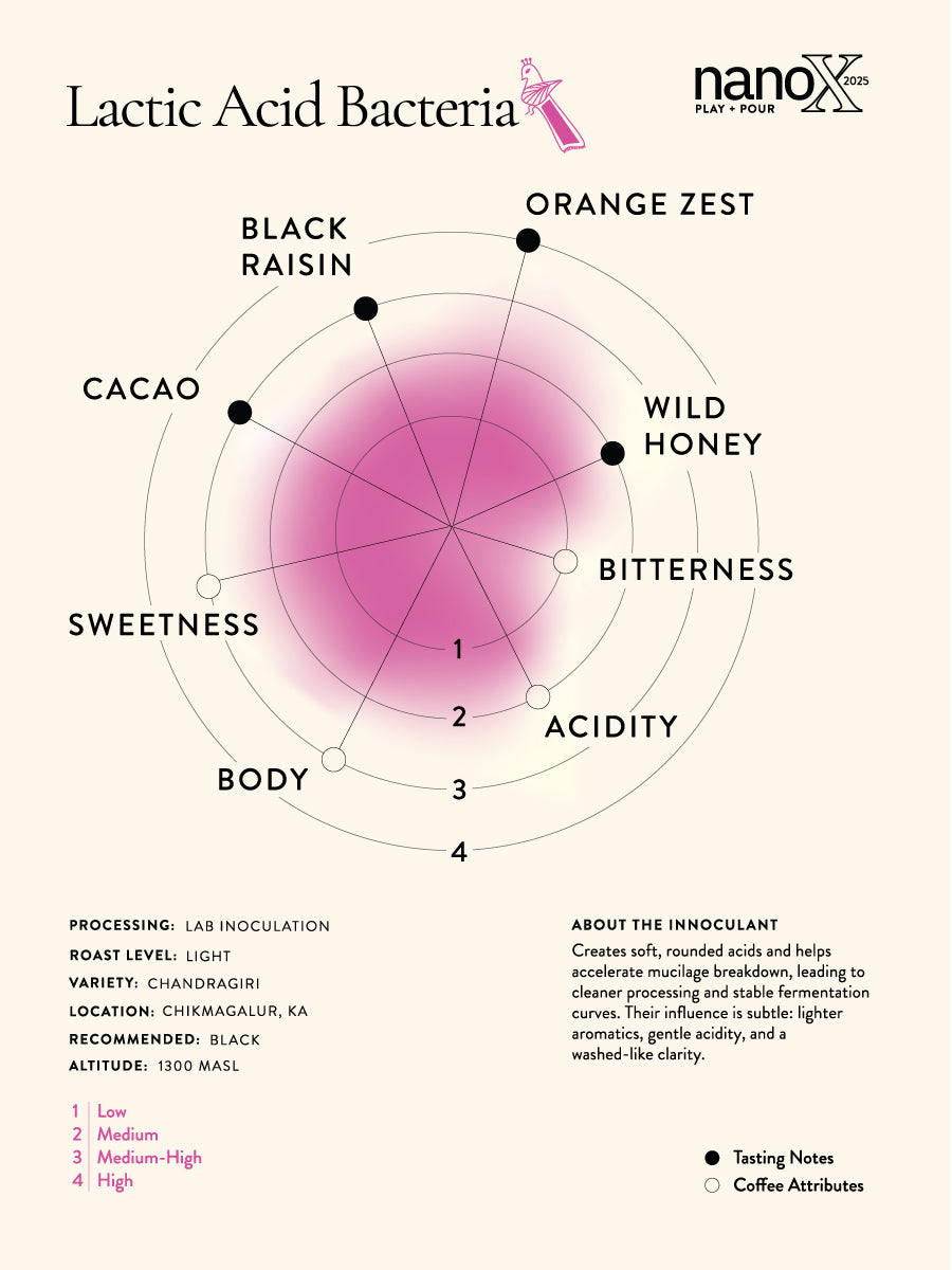 Kalledevarapura Estate - The Fermentation Edit