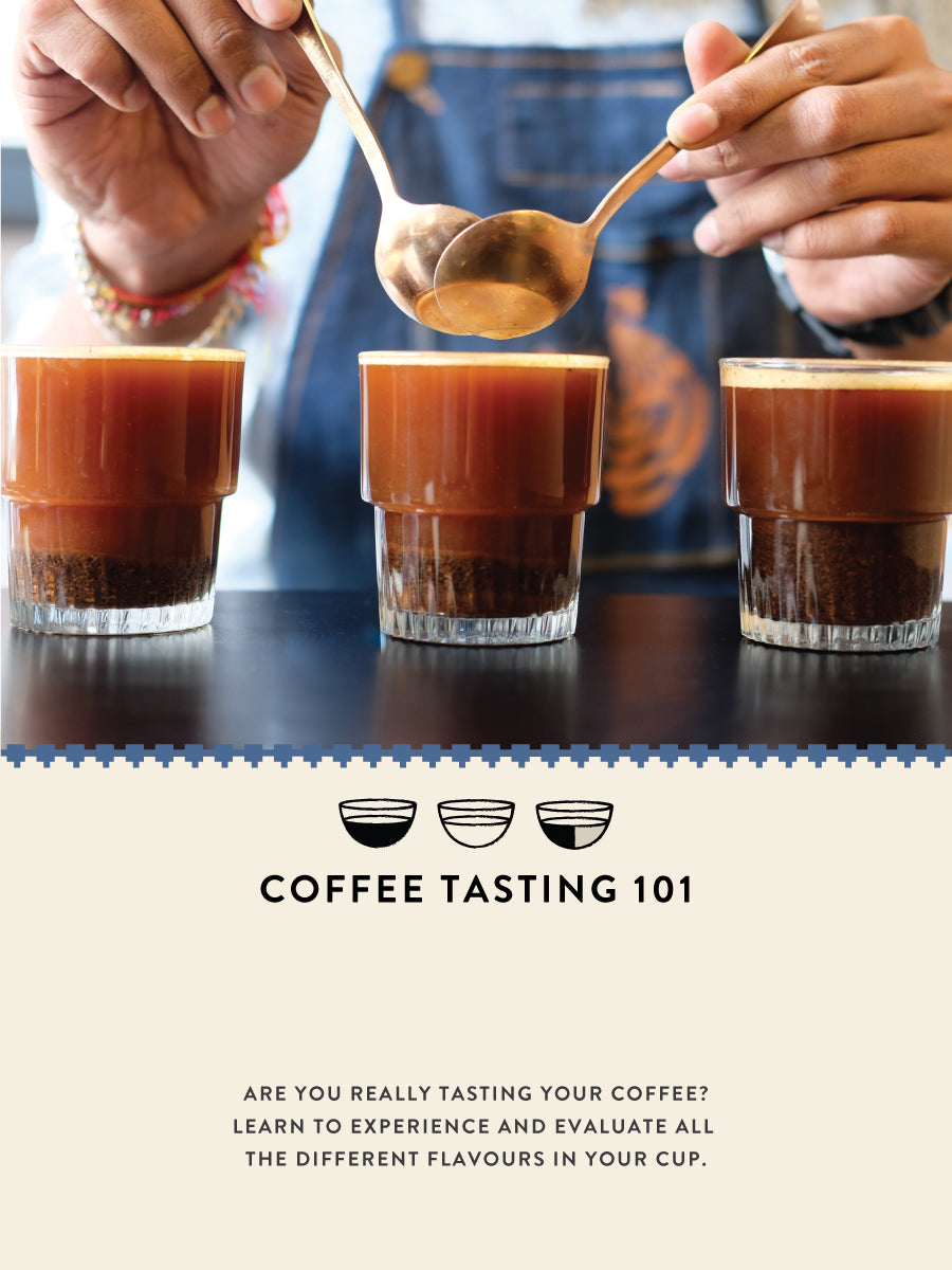 Are You Really Tasting Your Coffee?- Buy Freshly Roasted Coffee Beans Online - Blue Tokai Coffee Roasters