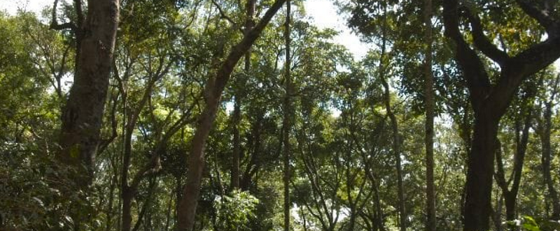 gid://shopify/MediaImage/23082028105783