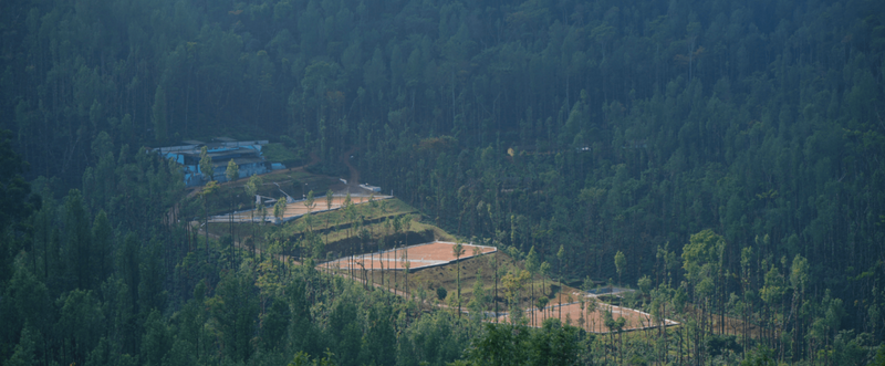 gid://shopify/MediaImage/23082028105783