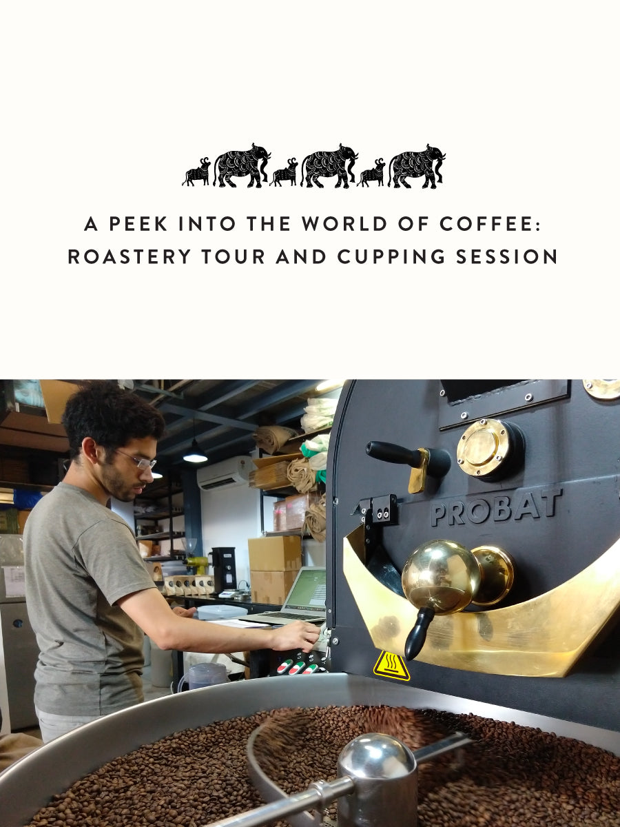 A Peek into The World of Specialty Coffee | Roastery Tour- Buy Freshly Roasted Coffee Beans Online - Blue Tokai Coffee Roasters
