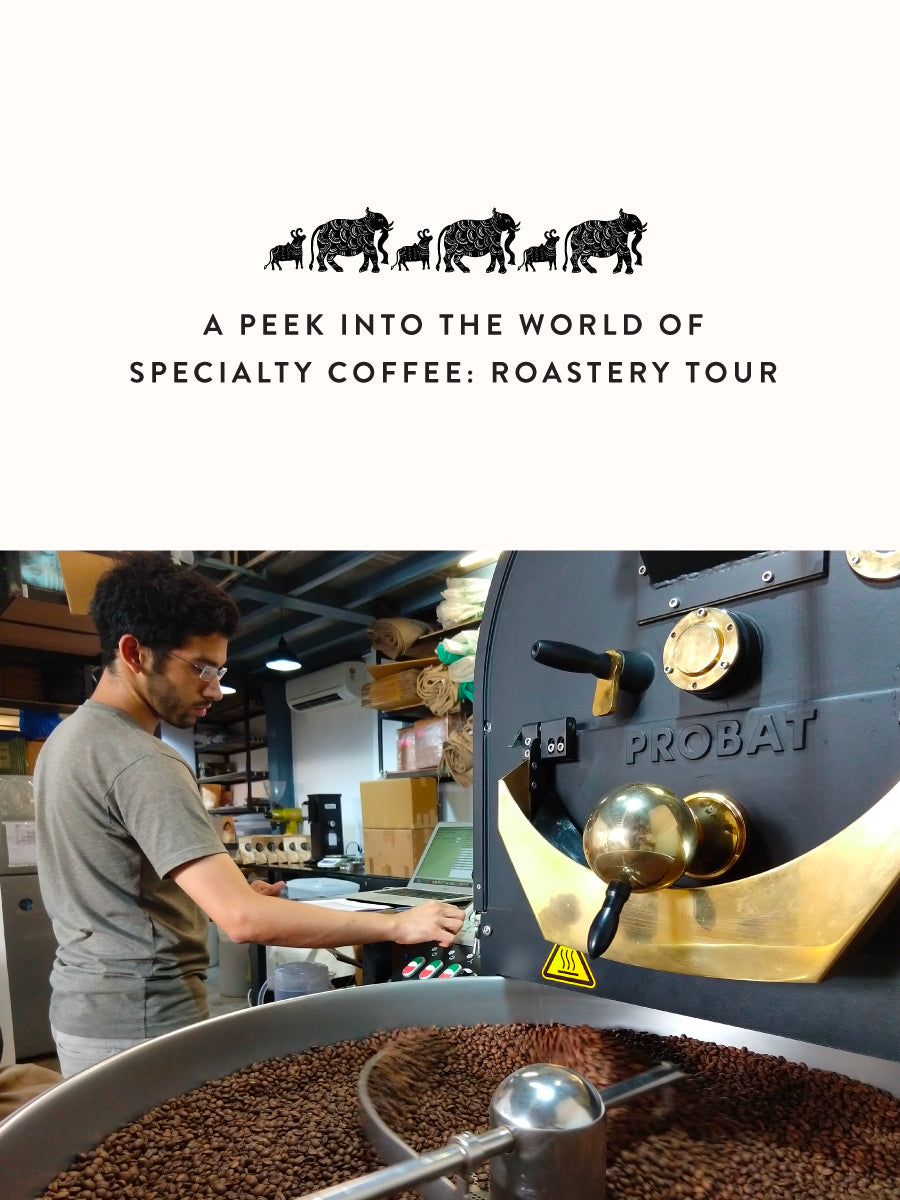 A Peek into The World of Specialty Coffee | Roastery Tour- Buy Freshly Roasted Coffee Beans Online - Blue Tokai Coffee Roasters