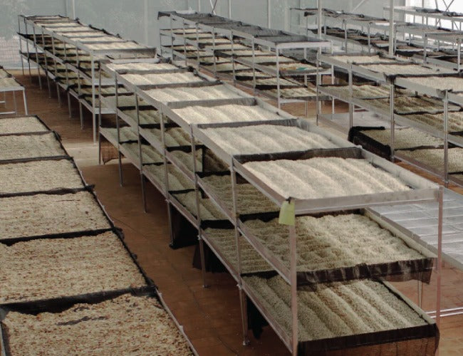 gid://shopify/MediaImage/23082028105783