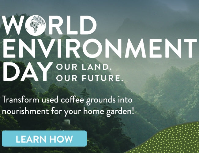 WorldEnvironmentDay_EmailerBanner_1