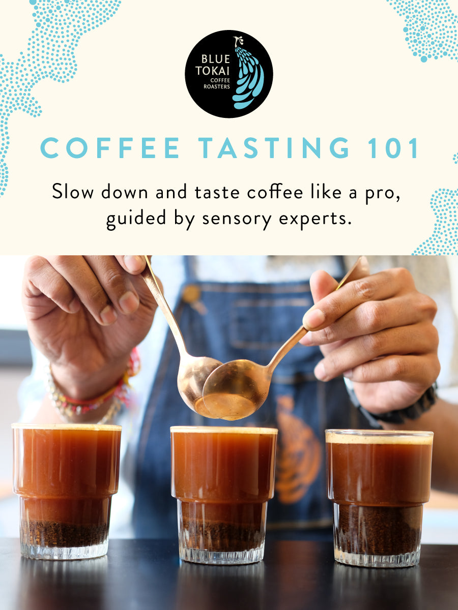 Coffee Tasting 101